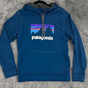 Patagonia Blue Hoodie with Multicolor Logo